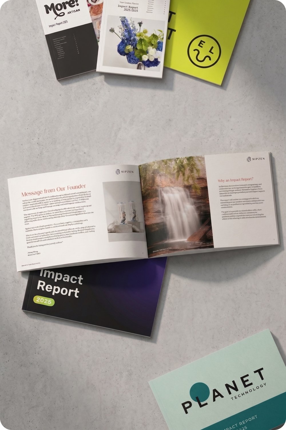 transformacy | Impact Reports