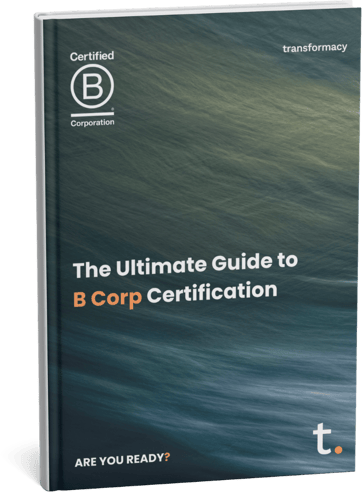 transformacy The Ultimate Guide to B Corp Certification (2)