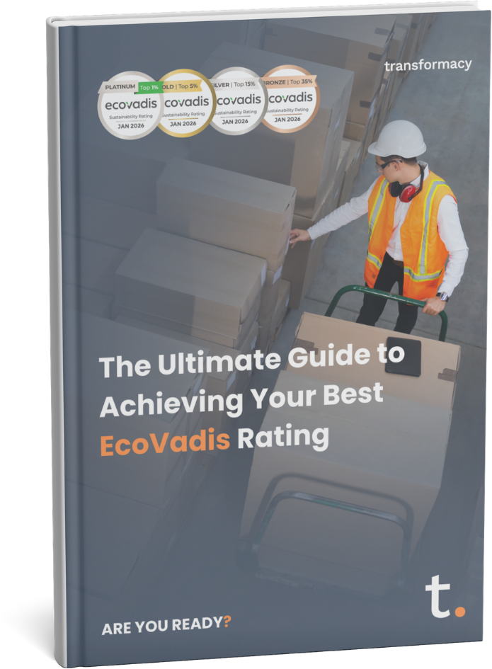 transformacy | The Ultimate Guide to EcoVadis