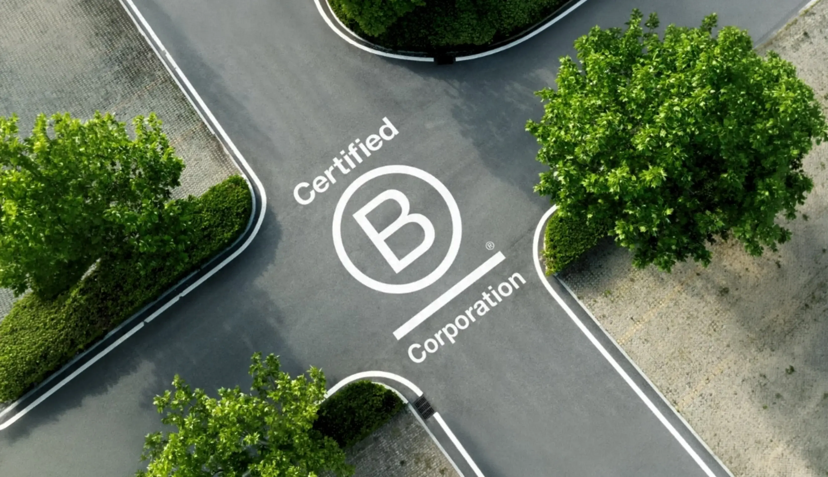 transformacy | Ongoing Support Packages | B Corp