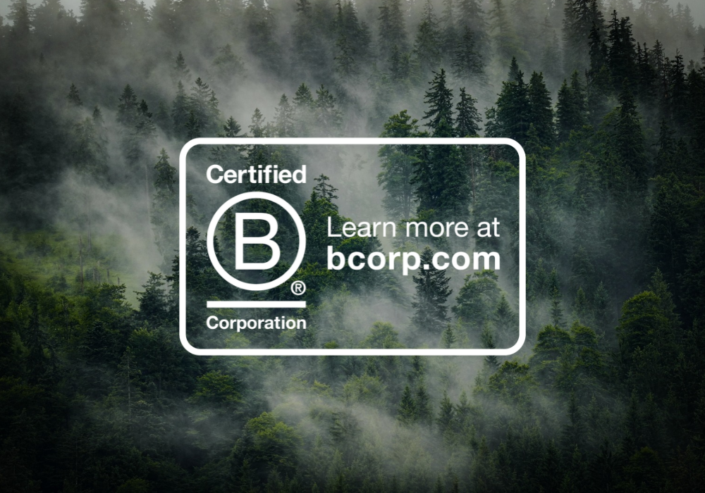 transformacy | Learn more at bcorp.com | Step 4