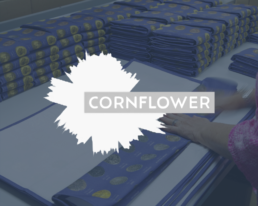 Cornflower