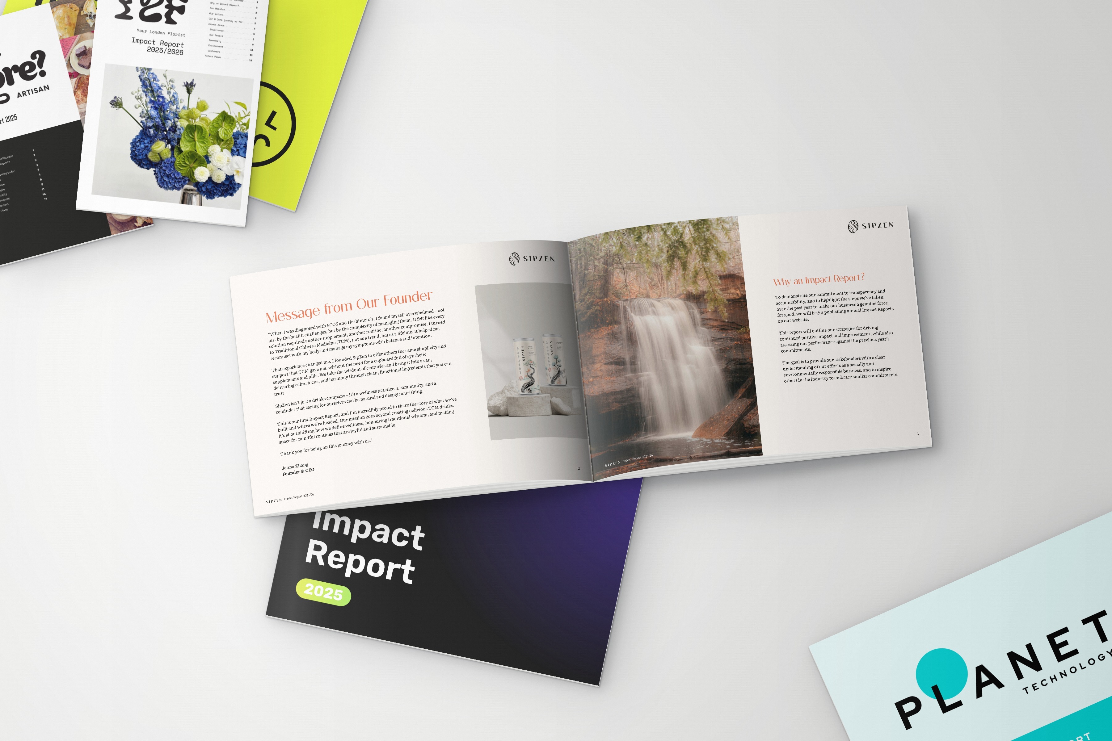 transformacy | Recertification & Reporting